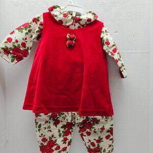 New Minibasix 3 Piece Girls Floral Red Roses Flower Velvet Dress Outfit 18 Month